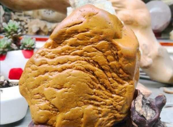 行云石居|一块像凤凰的树化玉,有个老板愿出五万购买