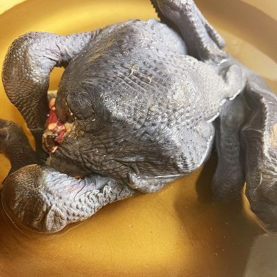 乌鸡汤|红枣枸杞乌鸡汤