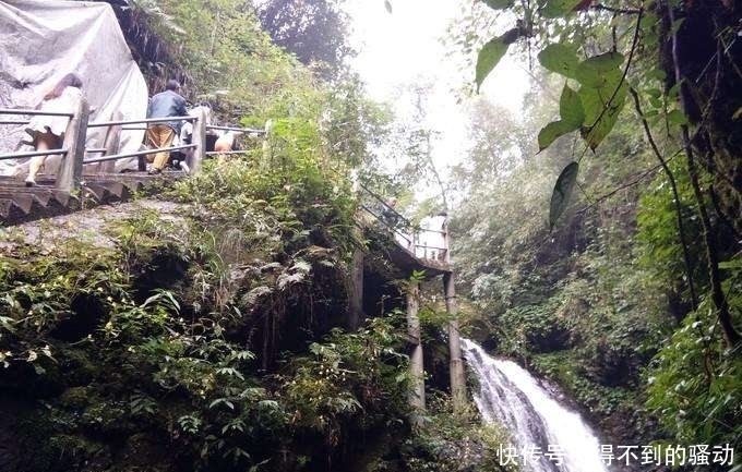 避暑|中国最美峡谷风景区-卧龙谷 最高的避暑休闲、清心养身的天然胜地