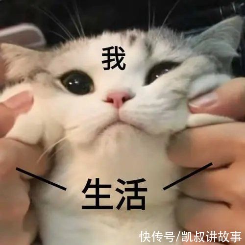 孩子|《全国小学生暑假磨人图鉴》