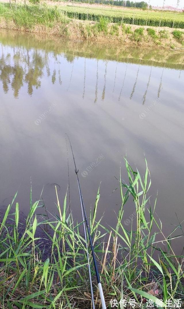 西南风|天刮西南风气死老钓翁野钓风向对鱼获影响知多少
