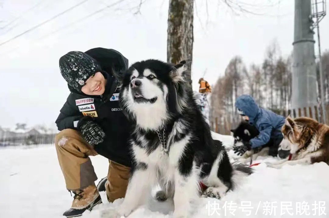 上海|上海人玩冰雪热情有多高？从3岁的小孩到70岁的奶奶都来了