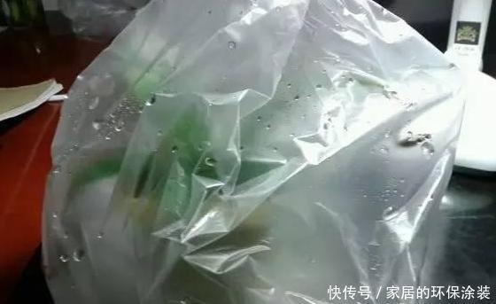 塑料袋|塑料袋养花:6个小方法,看完就有人后悔以前全扔了