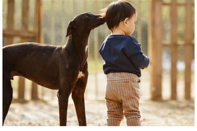 小孩们|家长应该容忍这些事情，只有适当忍耐之后，才有利于孩子成长