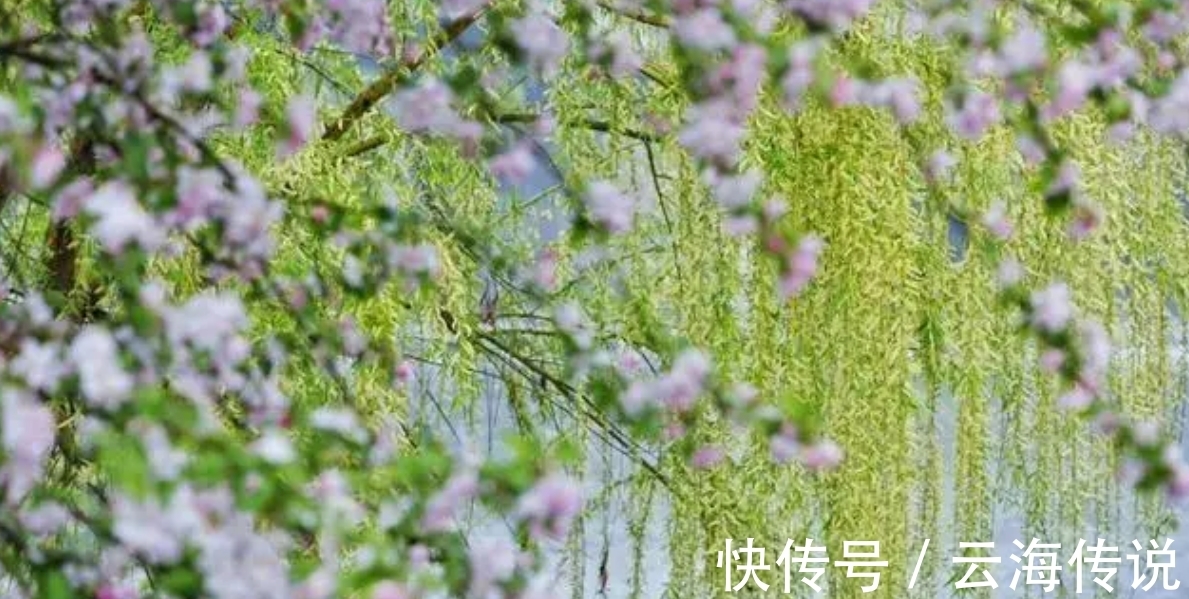 开篇|宋朝非顶流词人的一首词,开篇10字就是千古名句,令人惊艳