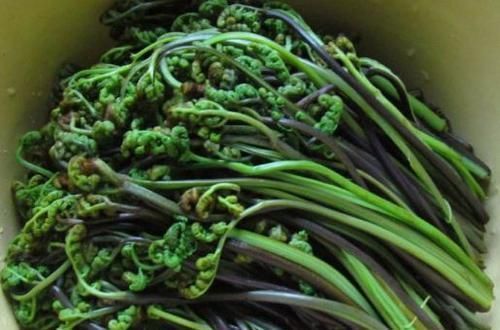 猪蹄|女性养生，学会吃的食物，排毒抗衰，养护血管，增强抵抗力