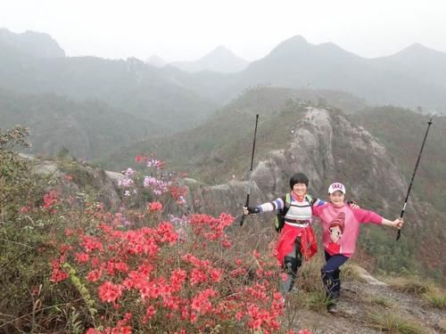 杜鹃花、油菜花、小野花漫山遍野……清明小长假，缙云驴友喊大家去踏青赏春