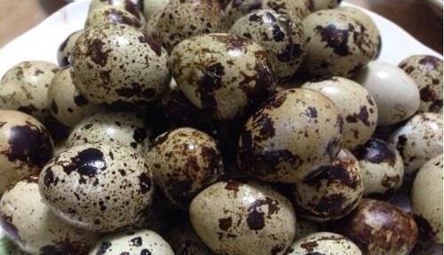 加油站|堪称黄体酮“加油站”,女性经常吃点,消散结节,调理增生