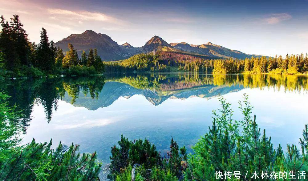 混合痔|痔疮膏不是越贵越好,这五款才是值得信赖的,管用又便宜!