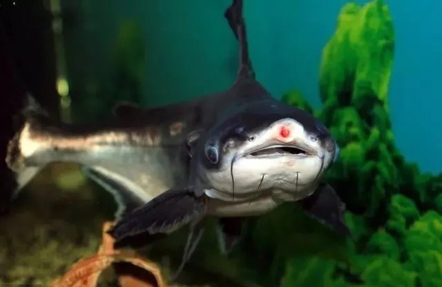 这3错误钓友最常犯,90%的钓友都犯了,难怪钓不到鱼!