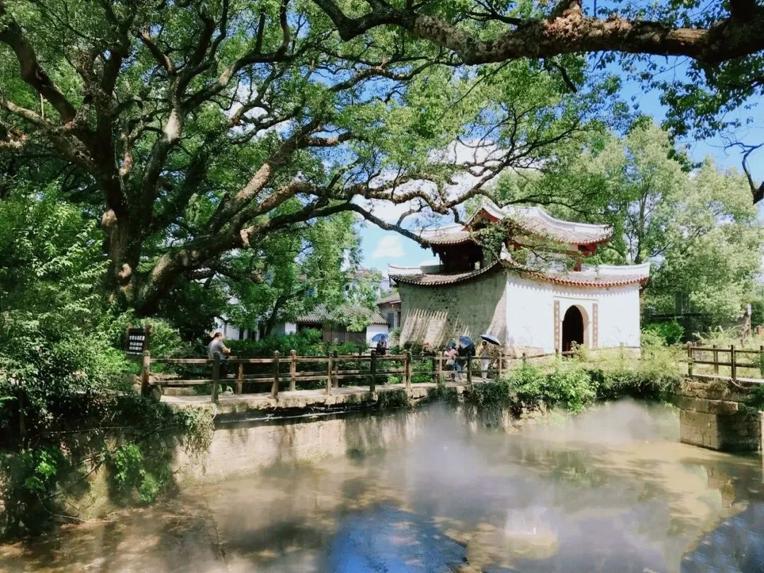 炎炎夏日来啦！赏花、观景、饮茶……带你觅夏凉！