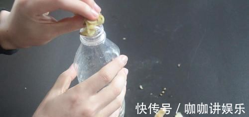 养花怎么补偿营养水 用它泡一泡浇花, 浇过的花油绿直冒芽, 很实用