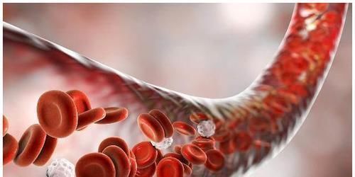 6类食物是血管 清洁工 40岁后经常吃 血管不硬也不堵 快资讯 6类食物是血管 清洁工 40岁后经常吃 血管不硬也不堵 快资讯