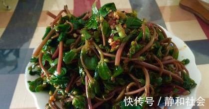 长寿|想长寿要会吃，推荐几种食物，营养丰富，疏通血管，好处多多