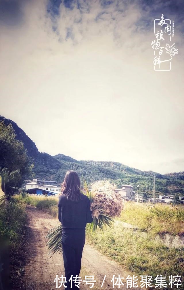 在茜的多肉小院里,花时间种快乐!在茜的多肉小院里,花时间种快乐!