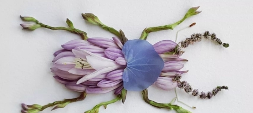 树叶$他拿花瓣、树叶随便一剪一贴就卖23万!网友:买过的人都说“值”