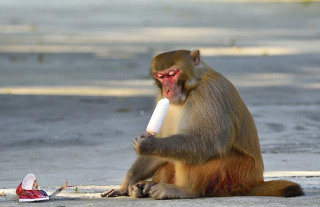 心脑血管疾病|长寿其实非常简单，伦敦大学发现：做好“一件事”，就能多活20年