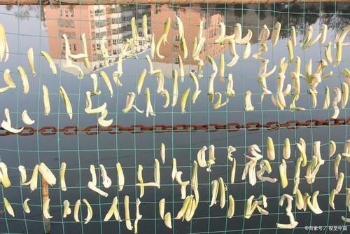 饮食|中老年人要注意饮食，建议3种伤肝胃食物要少吃，不妨了解一下