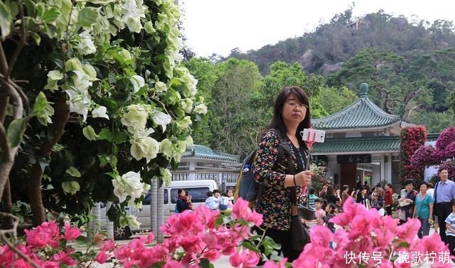 养花上瘾的人都有这六个症状,我就中了其中三个,你呢!