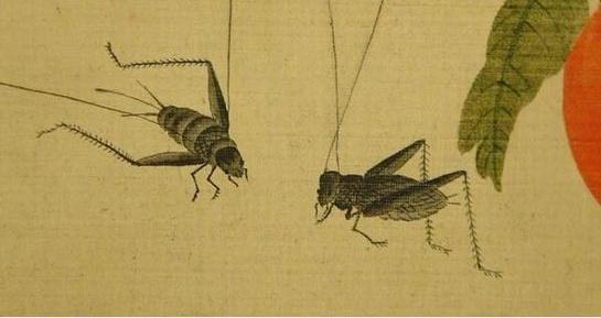 韩侂胄&观宋填词137|张鎡填词咏蟋蟀不亚于姜夔,其曾祖至今跪在岳庙里