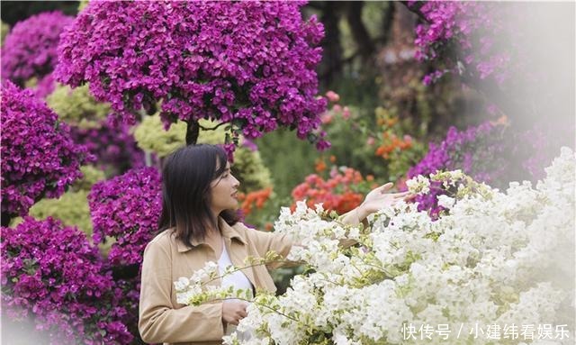 满园|佛山盈香生态园满园宝巾花如梦，心怀春暖春归时