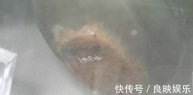 青瓷&来历不明的“窑底货”:凭什么被尊为镇馆之宝