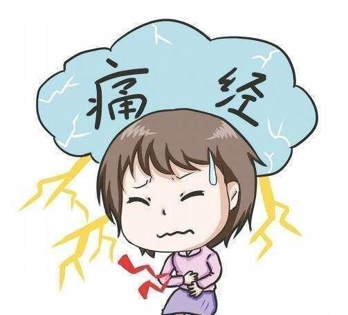 雌激素|月经是生育能力的晴雨表,有月经才能怀孕,是这样吗