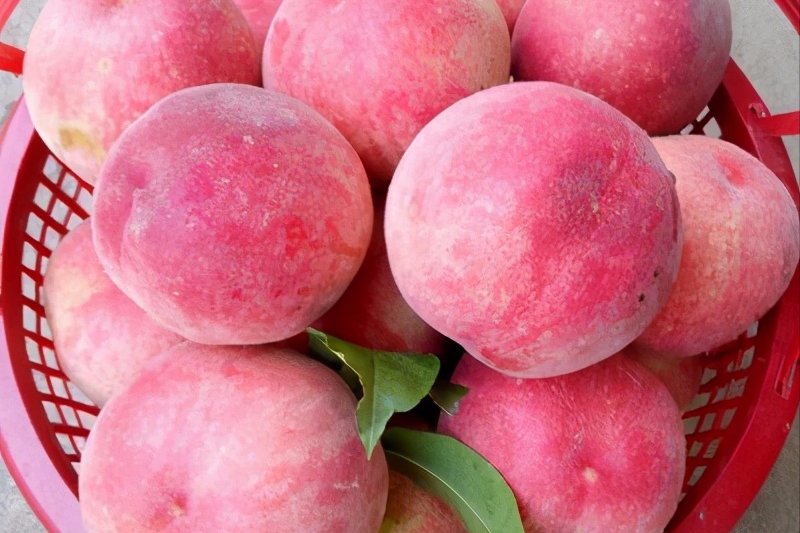 春季来了，推荐多吃3种食物，润肠通便，延缓衰老，好处多多