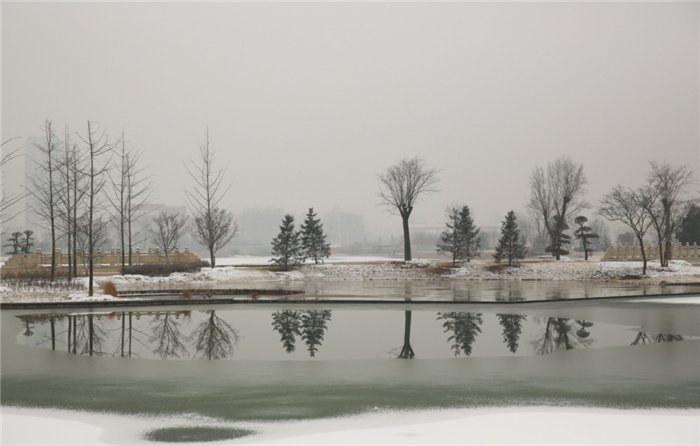 中年|东阿阿胶迎来新年第一场雪