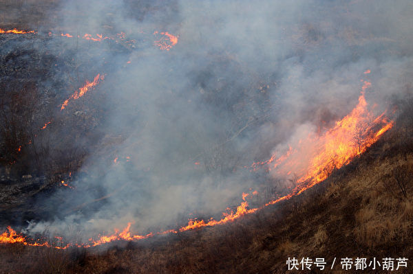 研究表明：山火的降温效应大于气候模型预测