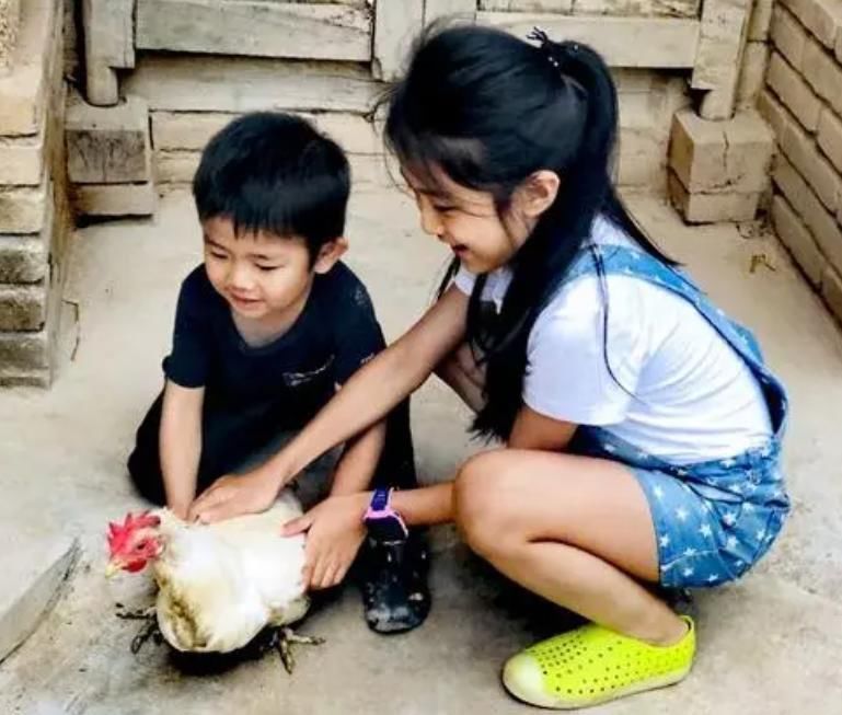 亲姐弟|亲姐弟这么做正常吗?女子去见男友父母,姐姐的举动让人不适