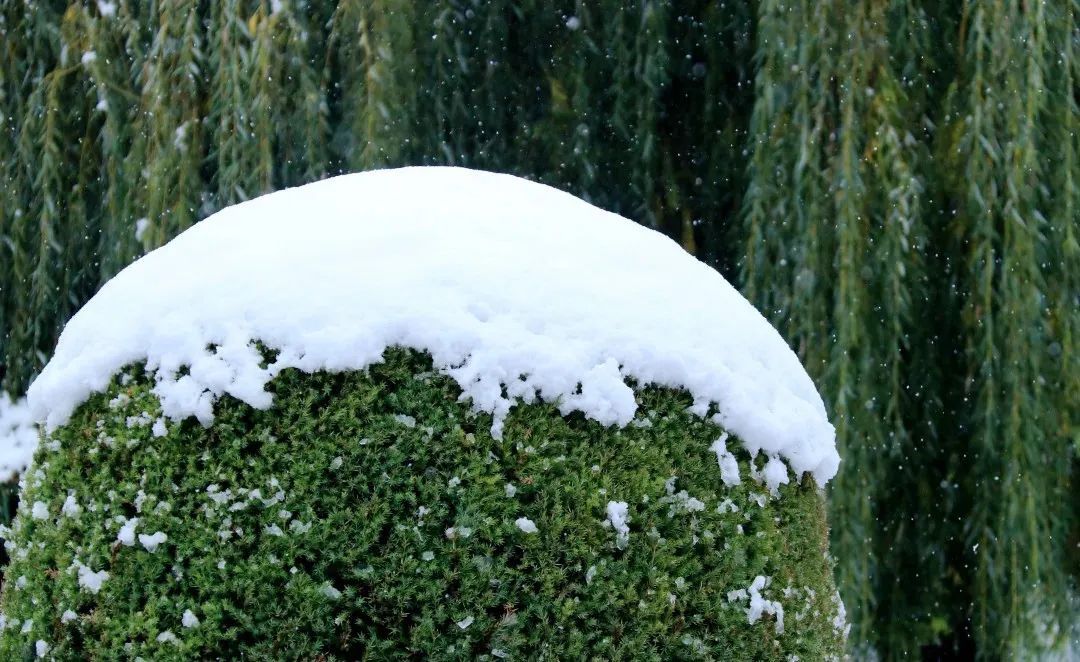 赵建民|临洮今秋第一场雪，比以往来得更早一些……