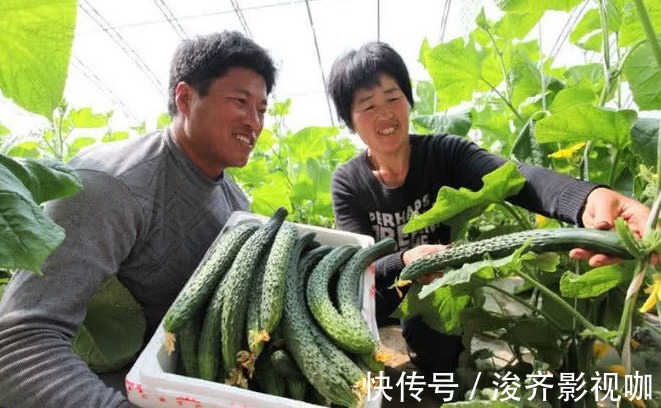 湿气|最适合晚上吃的4大水果,尤其是第2种,还能赶跑湿气