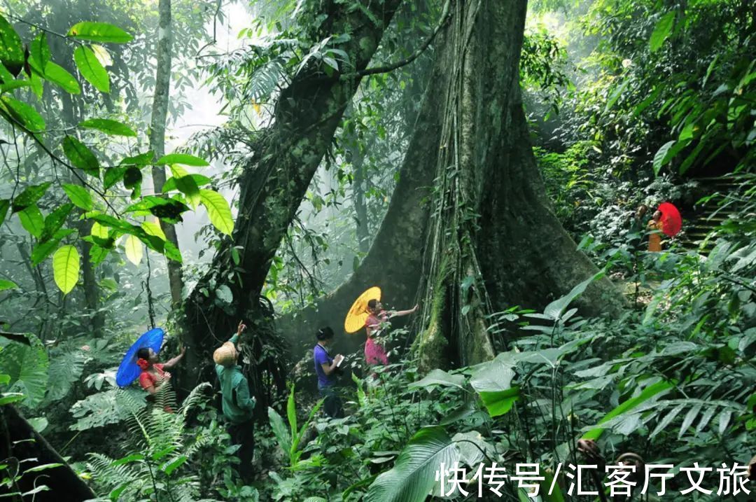 景迈山|原始雨林媲美缅甸，佛塔僧侣不输泰国，完美“复刻”东南亚风情