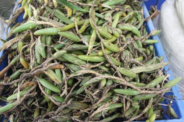 野菜|提个醒在田间地头遇见此野菜,记得要拔回家,有很大的用处