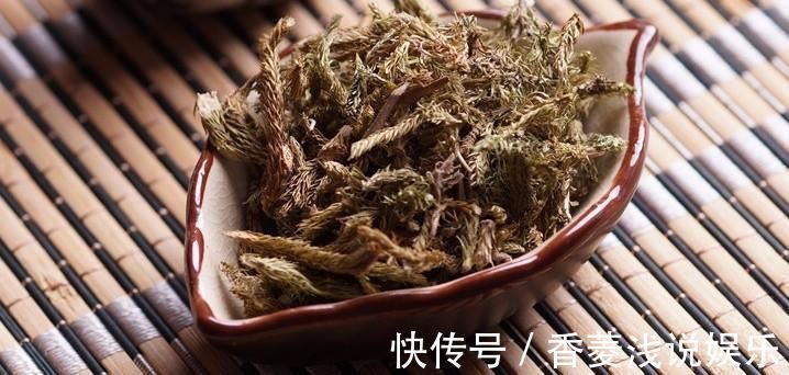 桑寄生|千年一味“伸筋草”！拉筋舒筋，去寒气湿气，福泽众生，深藏功名