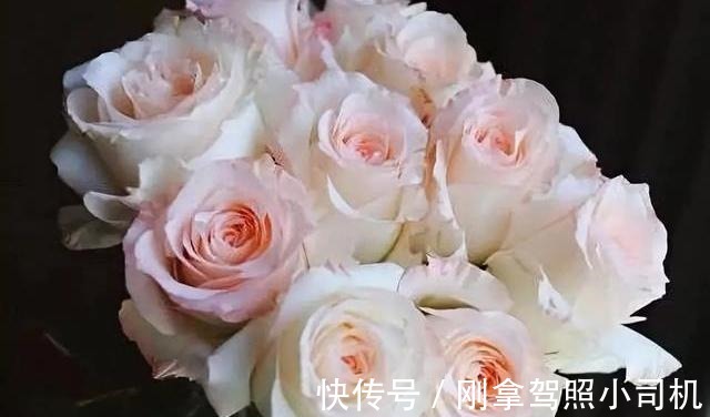 比较受欢迎的10款进口玫瑰花,一直都供不应求,你粉了吗