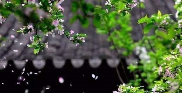 别严士元#落花人独立,微雨燕双飞——十二句唯美的古诗词佳句