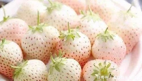 草莓|名字里带“莓”的水果,说出5种送你一辆保时捷,除了草莓还知道