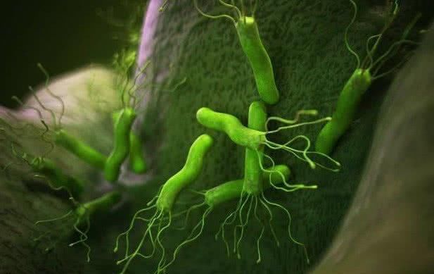  幽门螺旋杆菌也有“克星”, 坚持每天吃一点, 赶走胃病和口臭