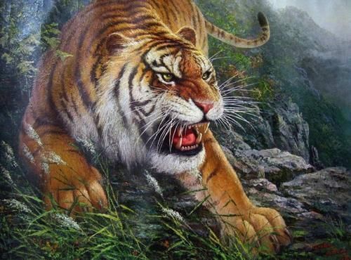 小老虎#俗語“虎生三子,必有一彪”,彪到底是什么,跟老虎有什么關(guān)系?