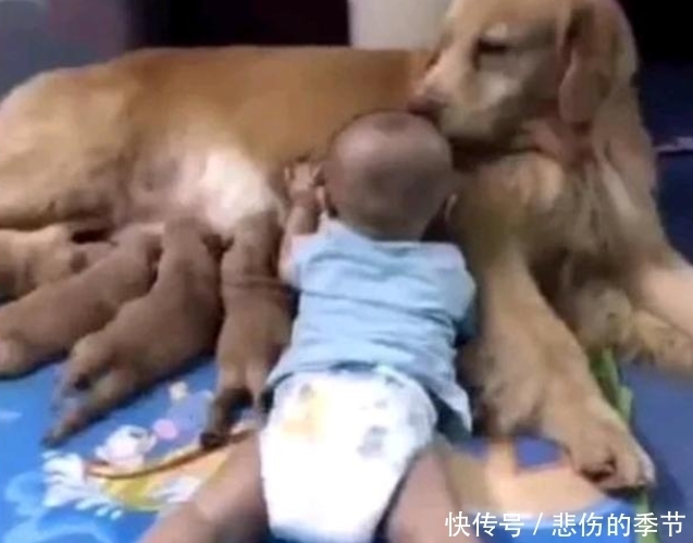 孩子|宝爸带孩子,转身发现宝贝不在,出来寻找哭了