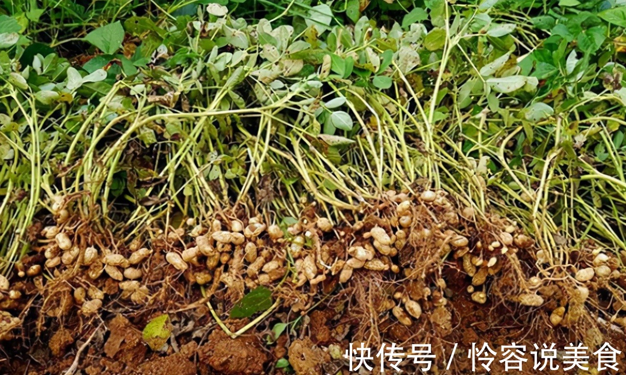 冠状动脉|多走路能降血脂医生提醒日常多吃这4物,或比走路效果好