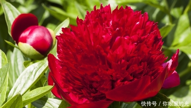 4 10是什么星座的啊