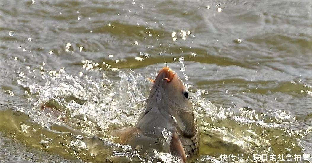 双钩|钓鱼时钓灵钓钝真能搞懂?调平钓二与调二钓四水底状态是否一样