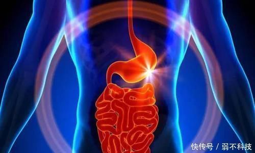  走得快|老胃病者做到'晨起二事，睡前三事'，胃炎、胃溃疡走得快