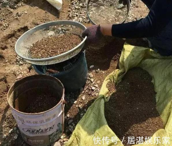 腐叶土|养花缺不了营养土不想要花钱买,就添加上它们,比买的还好