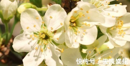 外面的世界|不会拈花惹草的三个生肖男,婚后对爱人百依百顺,对爱人很好