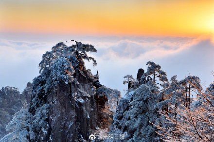 美景|黄山雪后美景宛如仙境