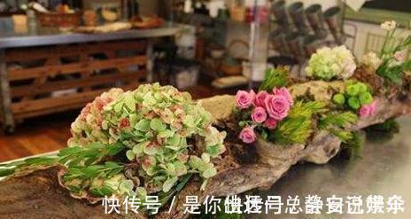 通风处|老公不听劝非要把树枝当花盆,邻居都看不起,结果却傻眼了!